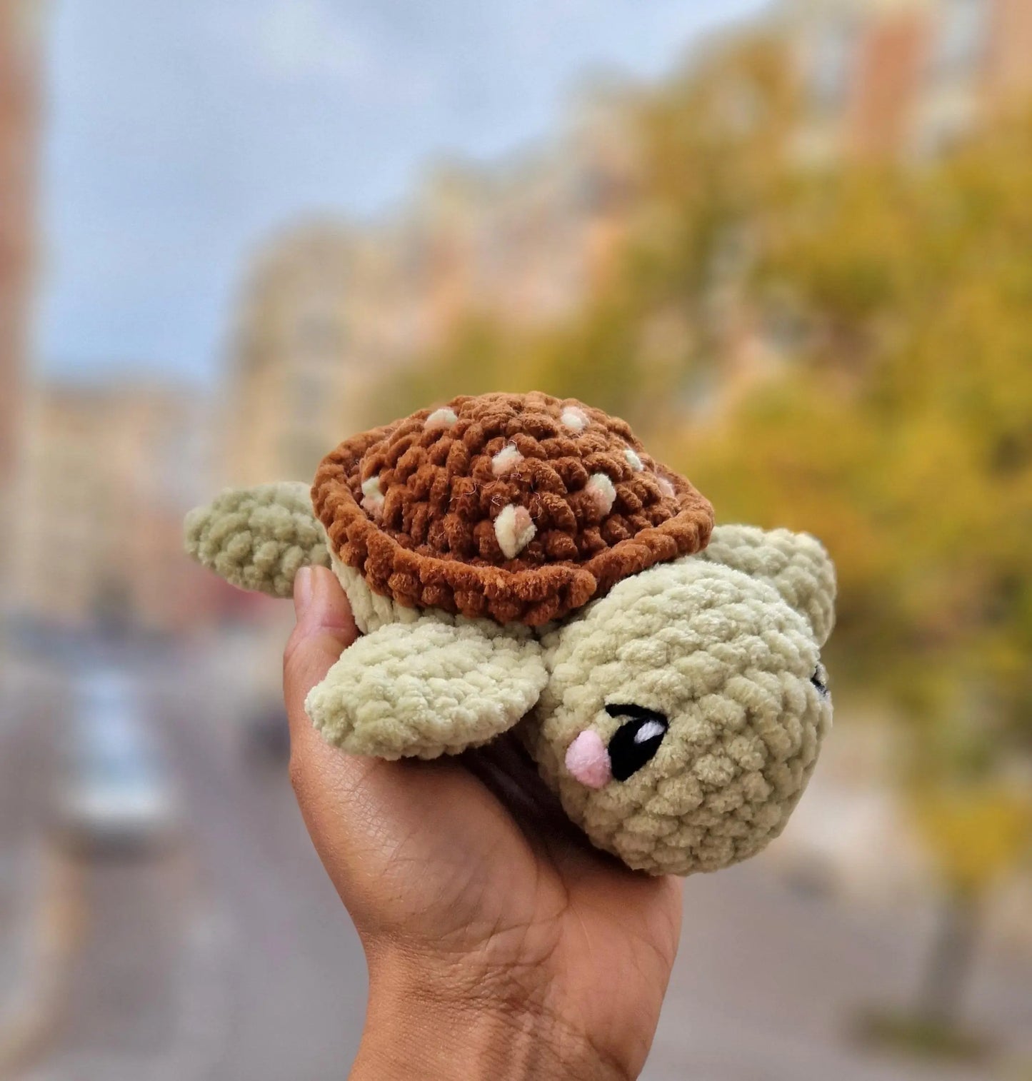 Tortue cookie pistache - Candy & Stitch