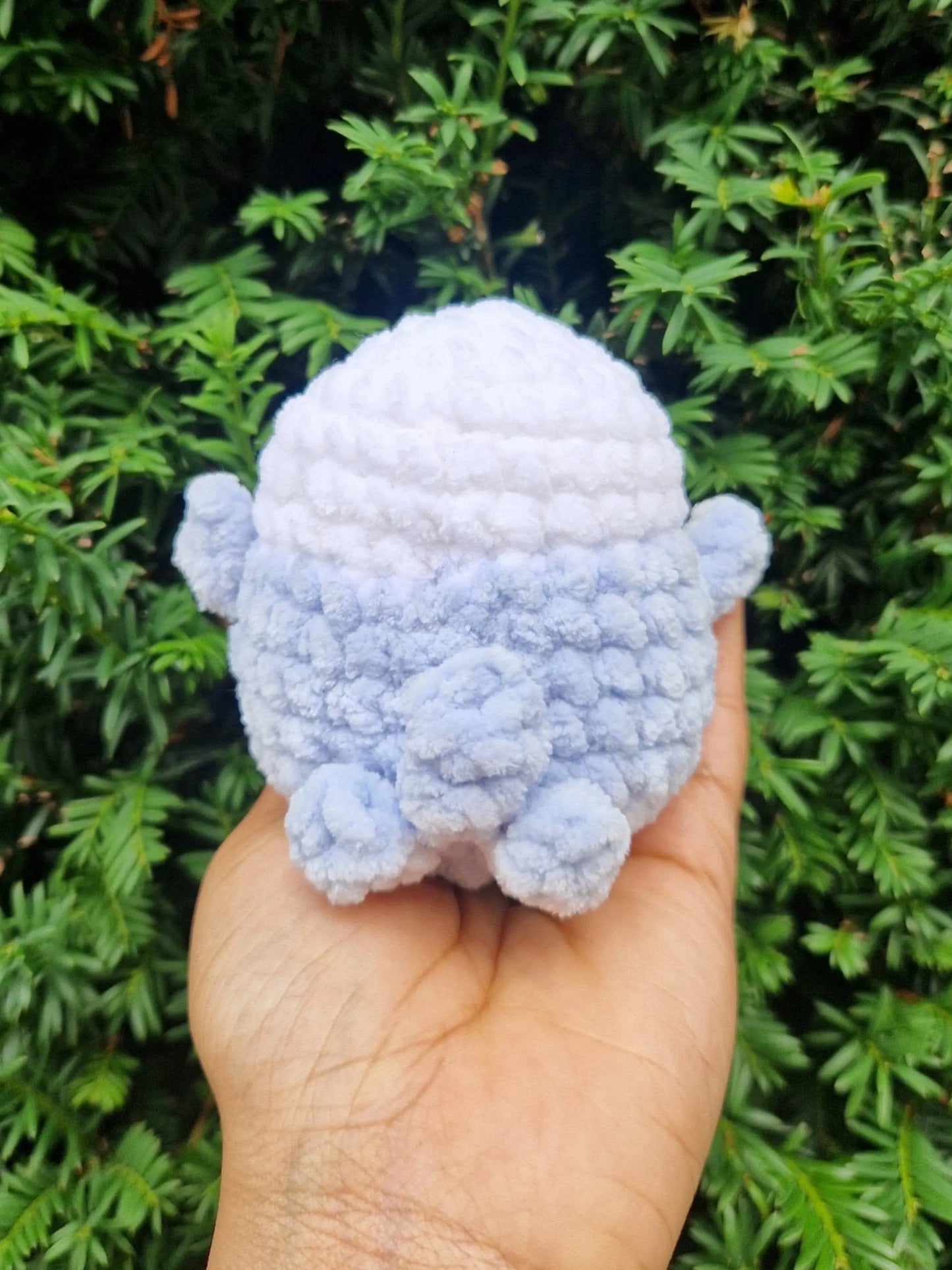 Perruche bleue - Candy & Stitch